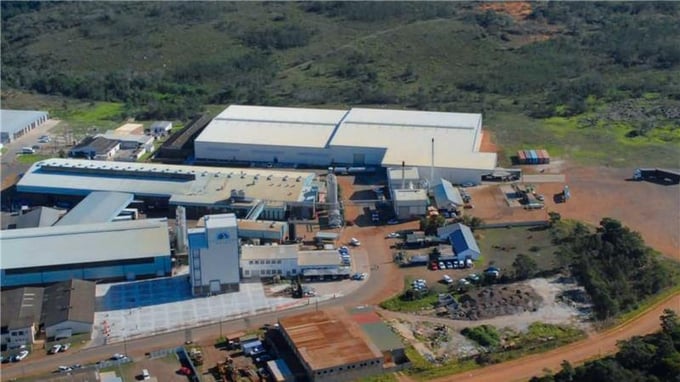 Woodlands Dairy 