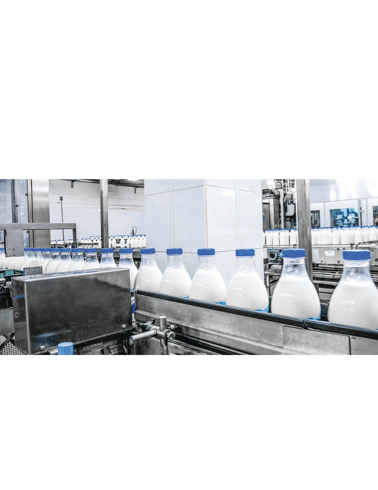 Success Story Hist- Eker.pdf (8)
