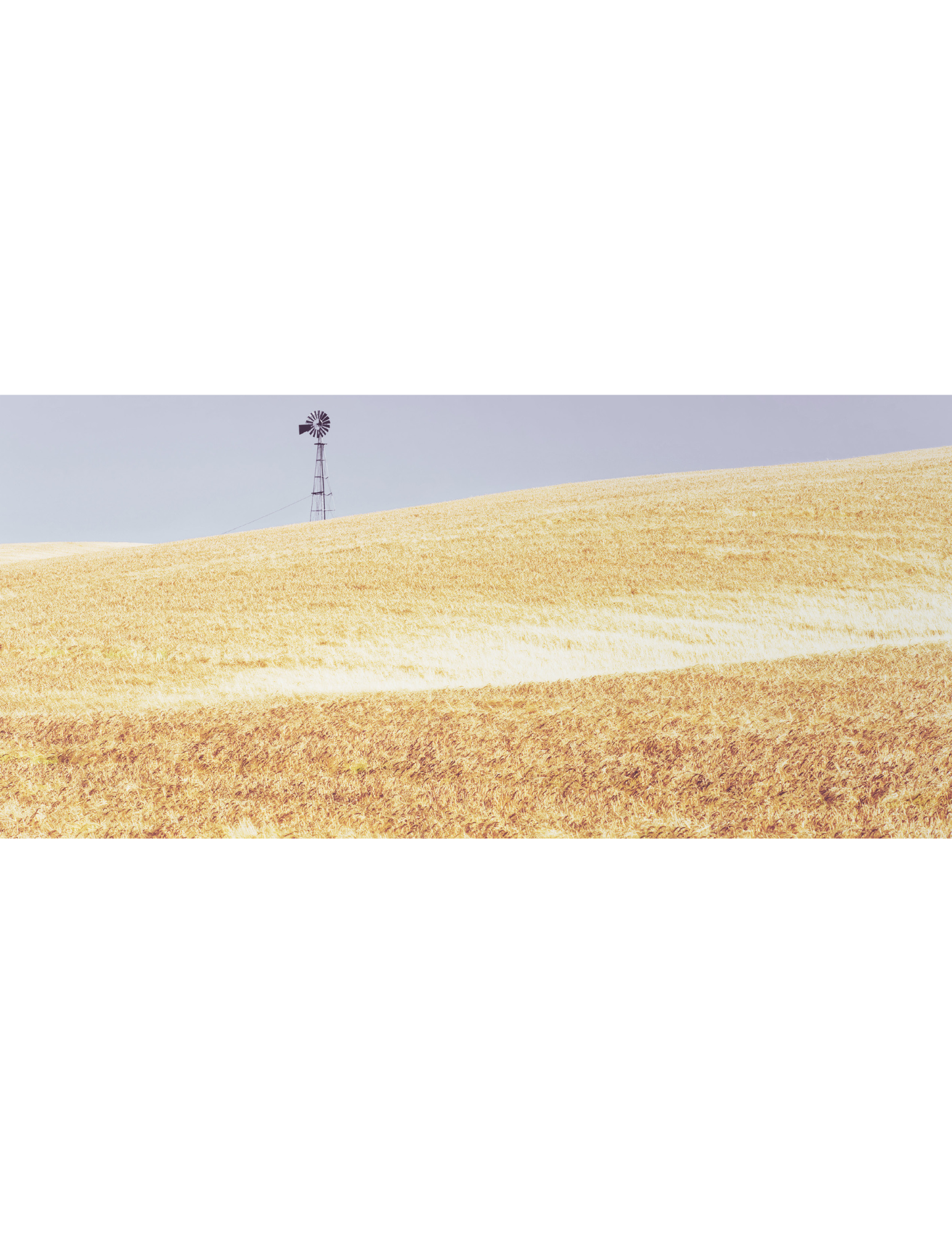 Success Story PI Kelloggs.pdf (5)