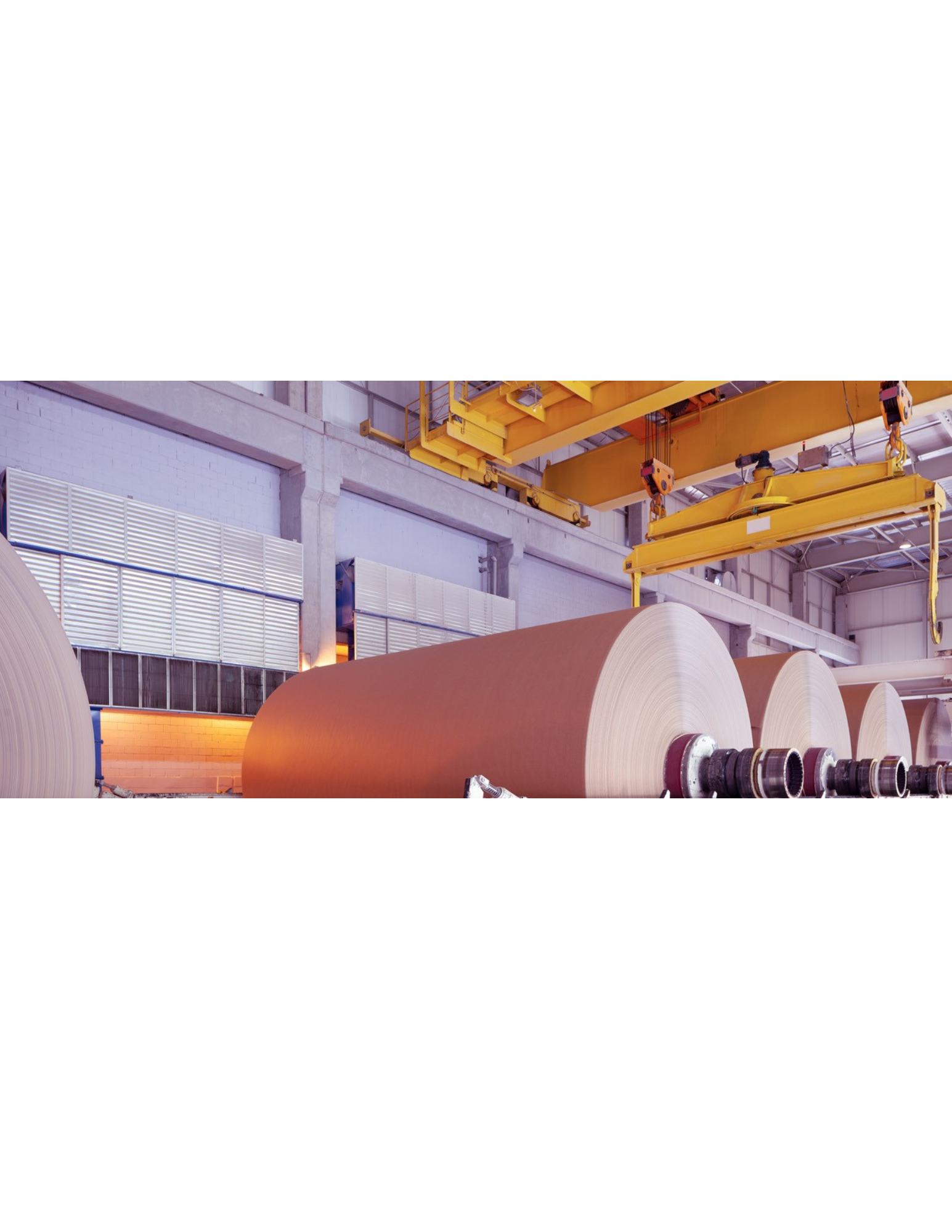 AVEVA PI International Paper